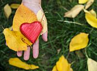 Hand holding Red wrapped heart and autumn leafs.