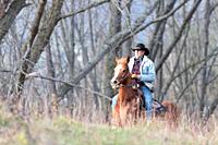 A veteran cowboy riding his arabian horse in the forest.