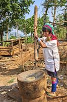 Kayan Lahwi woman with brass neck coils and traditional clothing pounding rice in a wooden mortar. The Long Neck Kayan (also called Padaung in Burmese...