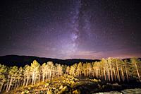 Green Trees Woods In Park Under Night Starry Sky from balcony at Gredos state run hotel Avila Spain