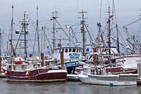 Commercial fishing boats under a blanket of snow in Steveston Harbour British Columbia Canada.