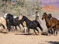 Lariat in hand, a cowgirl wrangler drives a herd of horses out of the corral at the Red Cliffs Ranch near Moab, Utah.