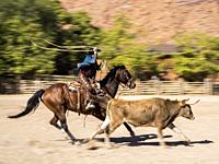 A slow shutter speed produces motion blur and conveys a sense of speed when photographing a cowboy roping a longhorn steer on a ranch near Moab, Utah.