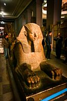 Ramses II statue, Egyptian Museum, Cairo, Egypt.