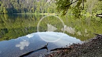 panning over the lake Feldsee up to the Seebuck as part of the mountain top Feldberg, Black Forest of Germany, the Feldsee or Feldbergsee is a glacial...