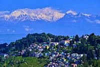 India, West Bengal, Darjeeling, view to the Himalayas, the Kangchenjunga 8586m.