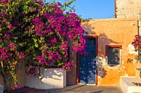 typical house facade with red wall blue door and pink colorful flowers.