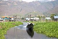 Canoe surrounded by floating gardens, Maing Thauk village, Inle lake, state of Shan, Myanmar, Asia.