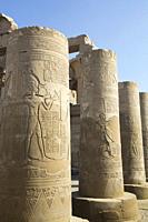 Columns with Reliefs, Temple of Sobek and Haroeris, Kom Ombo, Egypt