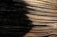 Sheets of worn and slightly burnt paper.