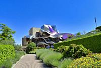 El Ciego City, Frank Gehry architect, La Rioja Area, Logroño province, Marques de Riscal Hotel, spain, wine cellar.