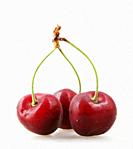 Sweet cherry isolated on white background. A cherry is the fruit of many plants of the genus Prunus, and is a fleshy drupe (stone fruit).
