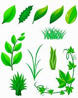 icon set of green leaves and plants for design vector illustration.