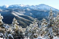 Fresh snow blankets the forest at the base of Majestic Pikes Peak Colorado.