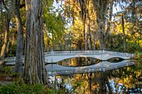 A white bridge and trees are reflecting in a pond at the Magnolia Plantation and Gardens near Charleston in South Carolina, USA.