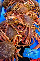 Fresh crabs for sale at the market in Saint-Hilaire-Du-Harcouët, Normandy, France.