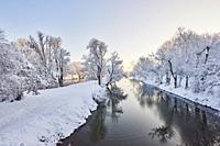 Landscape of the Donau with snowy trees in winter, Regensburg, Upper Palatinate, Bavaria, Germany, Europe