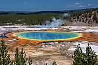 Grand Prismatic Hot Spring, Midway Geyser Basin, Yellowstone National Park, Wyoming, USA.