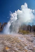 Grand Geyser erupting, Upper Geyser Basin, Yellowstone National Park, Wyoming, USA.