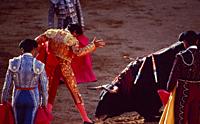 Torero in Spain | Stierkämpfer in Spanien.