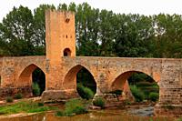 Medieval bridge over the Ebro river in Frías. Burgos.