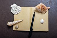 Pen and seashells on a notebook with on brown color background.