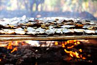 Dried piranhas grilled over wooden fire for a festive event, Mato Grosso, Brazil, South Amreica.