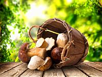 Fresh mushrooms in a basket on a wooden table, a crop of vegetables.