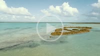 Los Roques venezuela -Caribbean-sea-Fantastic-landscape Kitesuf in clear crystal water, from drone.mp4