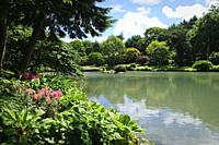 Garden pond in Marwood Hill Gardens in Devon UK.