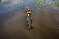 An old man is driving a boat made from the bark of his palm tree at Narsingdi, Bangladesh.