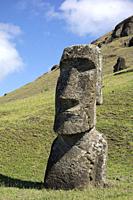Stone sculptures, Moai, at the stone quarry on the slope to the crater Rano Raraku which is an extinct volcanic crater on Easter Island. From the moun...