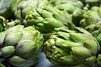Freshly harvested fresh and natural artichokes to make the best dishes