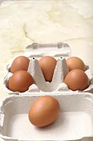 Eggs in your egg bank ready to be cooked in the best kitchens