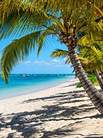 Palm Beach Resort - vacation at perfect tropical white sand Le Morne beach in Mauritius Island.
