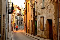 Rustic street in the old town of Fermoselle, Zamora, Spain