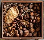 Almond shells and seeds in a box