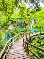 Spring season Plitvice lakes Croatia Europe