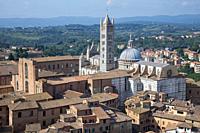 Siena from above, roofs, il Duomo, cathedral , plague, ruin, medieval city.