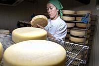Elena at work, controlling the ripening process. Cheese shop, Formatgeria Mas d´Eroles, artisan cheese making, Adrall village, Alt Urgell, Lleida, Cat...