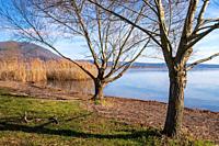 view of vico lake, province of viterbo, lazio, italy.