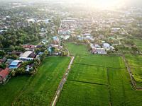 Aerial view Malays village near paddy field in morning.