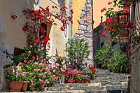 alleys and flowers of a Sicilian village.