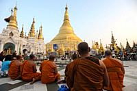 Yangon, Myanmar, Asia - A group of Buddhist monks and visitors sit in front of the gilded stupa of the Shwedagon Pagoda and pray. The Buddhist pagoda ...