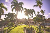 Dominican Garden with palms at sunset.