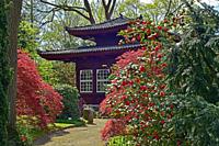 Trees, flowers and Tea House in the Japanese Garden, Leverkusen.