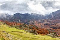Roncal Valley in Navarra, Spain.