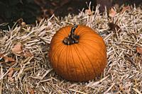 A pumpkin over a block of straw in a rural Halloween scene.