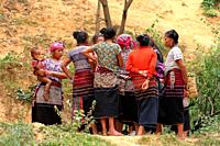 Black Hmong woman gathering in the village of Lao Chai near Sapa, Vietnam, Asia.