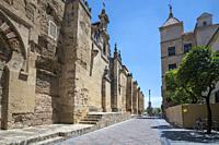 Cordoba Andalusia Spain Cordoba Great Mosque currently Catholic cathedral. UNESCO World Heritage Site.